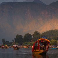 srinagar-boat